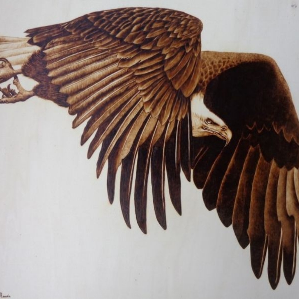 wood pyrography eagle - Picture 4 of 4
